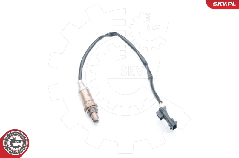 Oxygen Sensor
